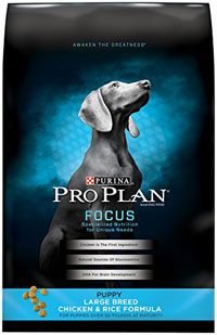 Purina Pro Plan Focus Puppy Large Breed Dry Dog Food