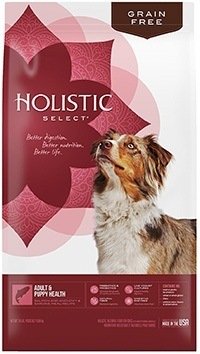 Holistic Select Natural Grain Free Dry Dog Food