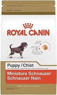 ROYAL CANIN BREED HEALTH NUTRITION Miniature Schnauzer Puppy dry dog food, 2.5-Pound
