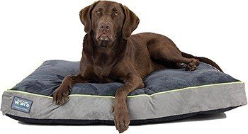 First-Quality Orthopedic Dog Bed |Pure Premium Shredded Memory Foam Ideal for Aging Dogs | Eases Pain of Arthritis & Hip Dysplasia