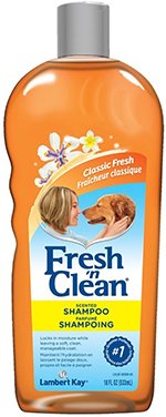Fresh N Clean Scented Shampoo, Classic Fresh Scent
