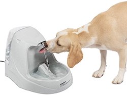 PetSafe Drinkwell Platinum Cat and Dog Water Fountain, Built-in Reservoir,Filtered Water for Your Pet, 168 oz. Water Capacity