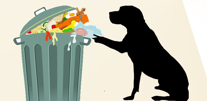 dog digging through the trash in a garbage can