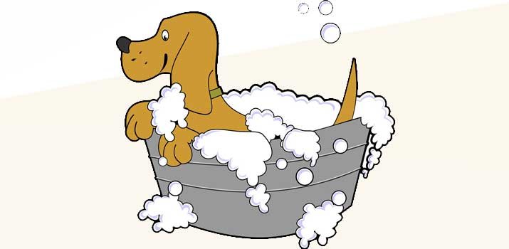 dog bathing in baby shampoo