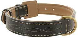 Viosi Leather Padded Dog Collar - Made of Genuine Kingston Luxury Leather