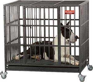 ProSelect Empire Single Door Steel Dog Crate