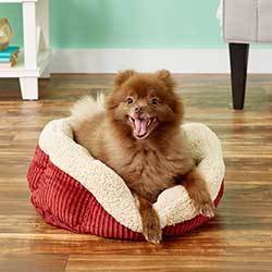 Aspen Pet Self-Warming Bolster Cat & Dog Bed, Warm Spice/Cream