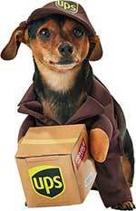 California Costumes UPS Delivery Driver Dog & Cat Costume