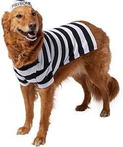 Frisco Prisoner Dog & Cat Costume