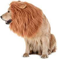 TOMSENN Dog Lion Mane - Realistic & Funny Lion Mane for Dogs - Complementary Lion Mane for Dog Costumes - Lion Wig for Medium to Large Sized Dogs Lion Mane Wig for Dogs