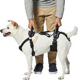 Frisco Front & Rear Lift Handicapped Support Dog Harness