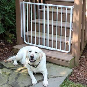 Cardinal Gates Outdoor Dog Gate, White