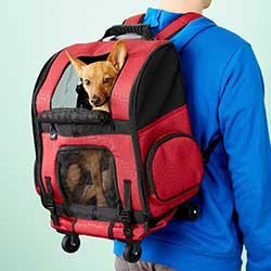 Gen7Pets Geometric Roller with Smart-Level Dog & Cat Carrier Backpack