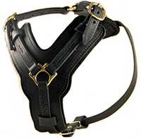 Dean and Tyler The Victory Solid Brass Hardware Dog Harness, Black, Medium - Fits Girth Size 25-Inch to 36-Inch