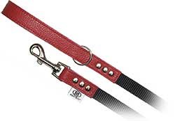 Buddy Belts Accent Leather & Nylon Dog Leash
