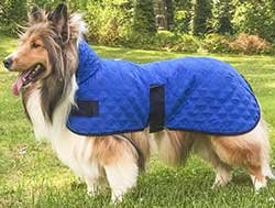 Derby Originals Hydro Cooling Dog Jacket, Blue