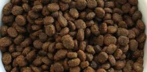 Merrick Grain Free with Real Meat + Sweet Potato kibble shape and size