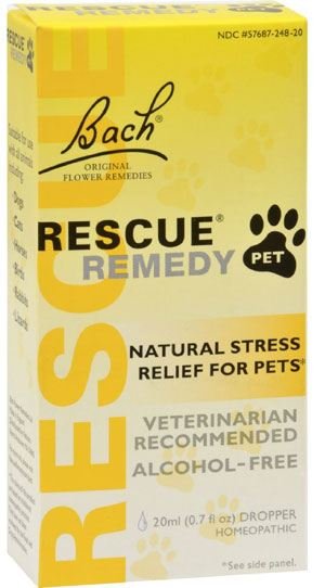 Bach Rescue pets