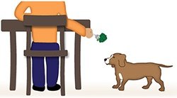 feeding dog from table