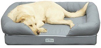 PetFusion Ultimate Pet Bed & Lounge in Premium Edition with Solid Memory Foam