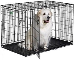 MidWest 22" iCrate Folding Metal Dog Crate with Divider Panel