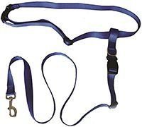 Running Dog Leash Hands Free – Including LED Light. Great for Walking, Running