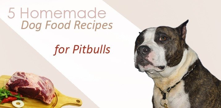 homemade dog food recipes for pitbulls