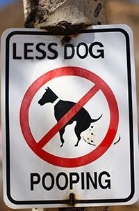less dog poop sign