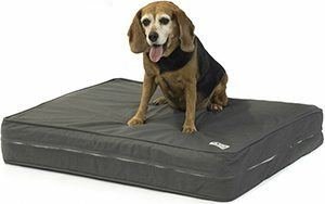 Orthopedic Dog Bed - 5" Thick Supportive Gel Enhanced Memory Foam - Made in the USA
