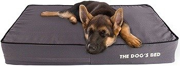 The Dog’s Bed, Premium Orthopedic Waterproof Memory Foam