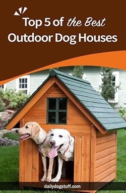 Top 5 of the Best Outdoor Dog Houses