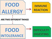 Intolerance vs. Allergy