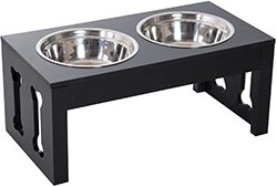 example of 2 elevated dog bowls