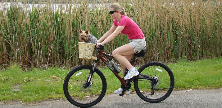 girl riding a bike with a dog basket attached to the front of the bicycle frame