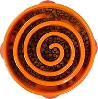 Outward Hound Fun Feeder Slow Feed Interactive Bloat Stop Dog Bowl