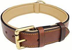 Soft Touch Collars Leather Two-Tone Padded Dog Collar