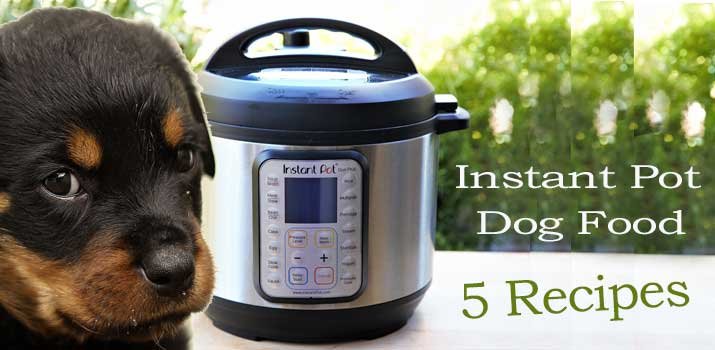 instant pot dog food recipes