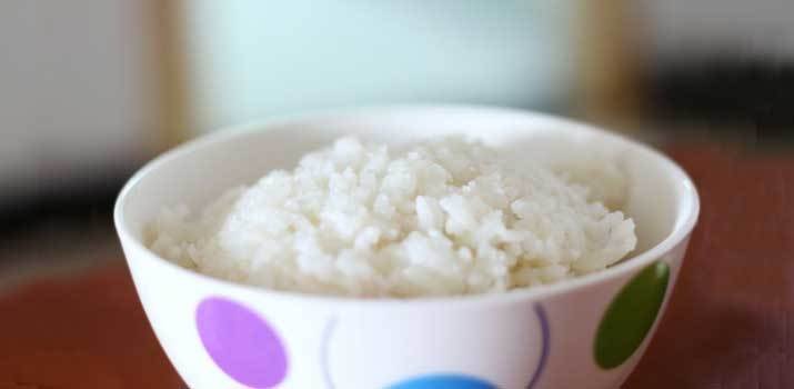 Bowl of rice for dog with diarrhea