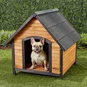 Precision Pet Products Extreme Outback Country Lodge Dog House, Large