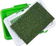 Paws & Pals Indoor Synthetic Grass Dog Training Potty Pads & Base