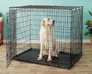 MidWest Solutions Series XX-Large Heavy Duty Double Door Collapsible Wire Dog Crate, 54-in