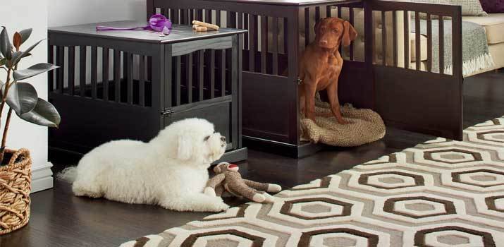 Luxury dog kennels and crates