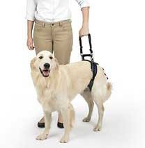 PetSafe CareLift Rear Handicapped Support Dog Harness
