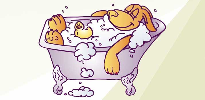 Dog bathing in a dog bath tub