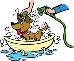 washing a dog in a human bath tub can get messy
