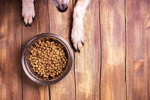 High quality dog food ingredients make good dog food