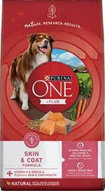 Purina ONE SmartBlend Skin & Coat Formula Adult Premium Dry Dog Food