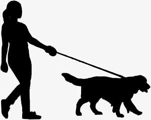 walking a dog